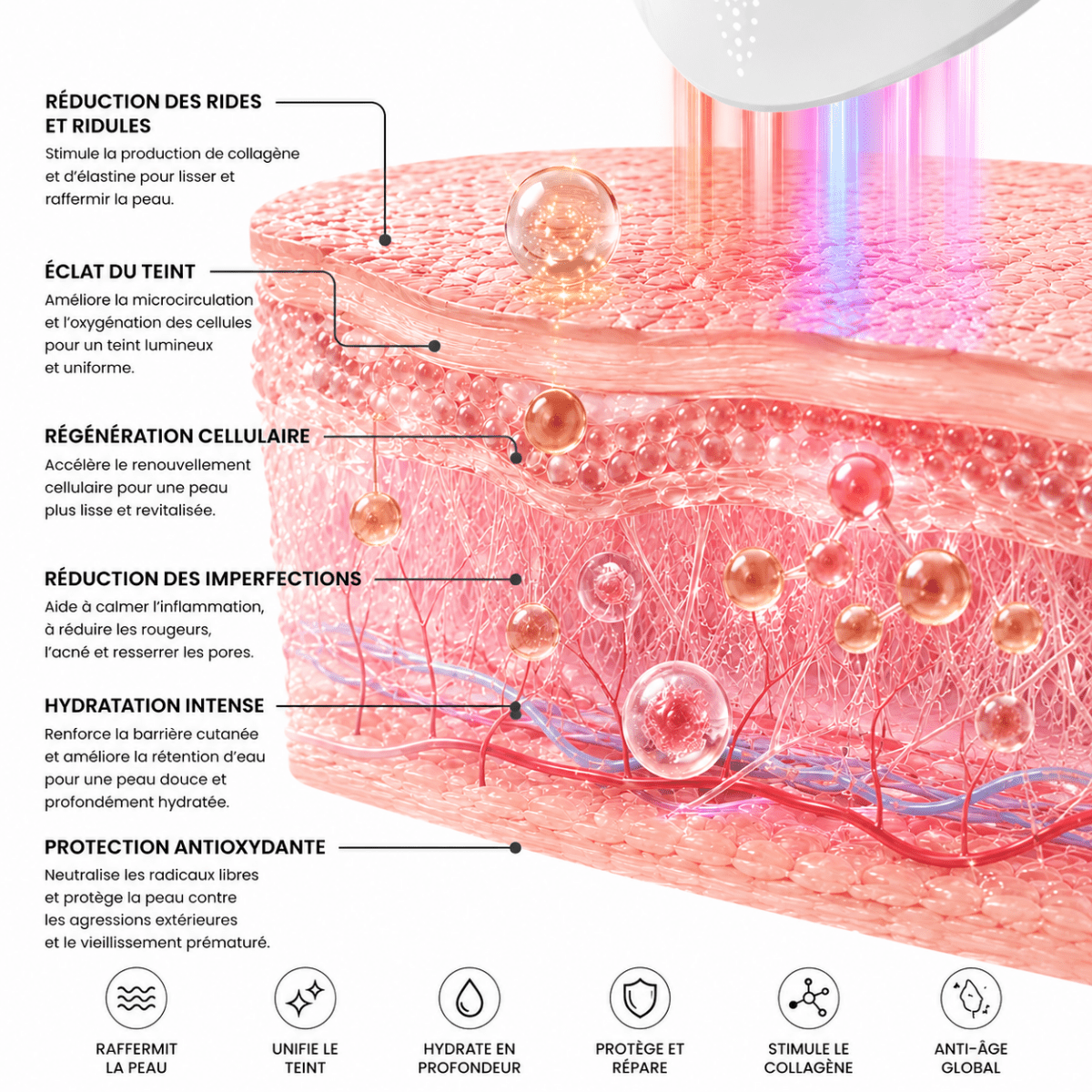 Schéma pénétration lumière led visage couches peau photobiomodulation 460nm 630nm 850nm